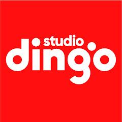 딩고 스튜디오 / dingo studio
